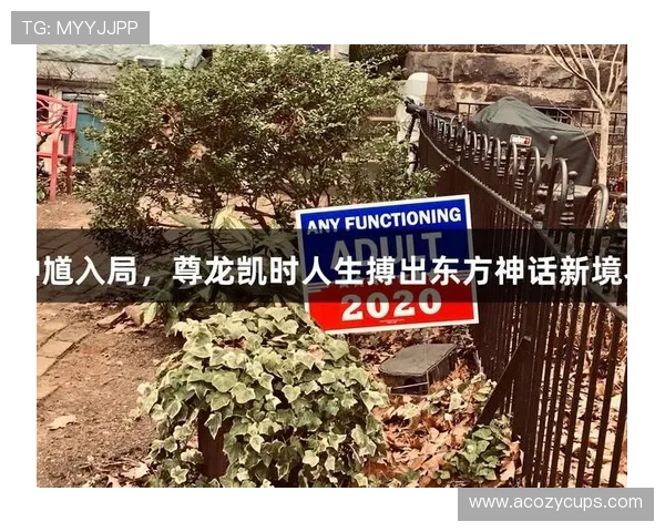 探索尊龙凯时平台的优势与使用体验