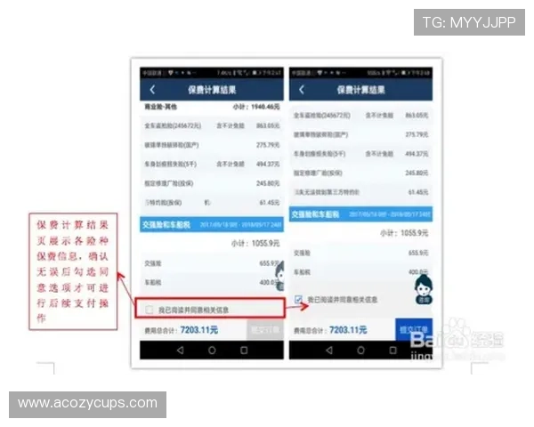 尊龙会官网会员登录入口查询流程详解及注意事项